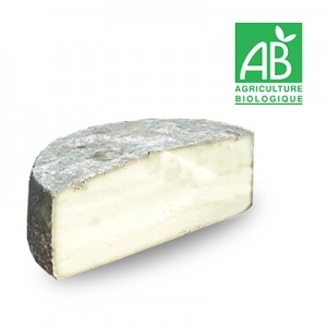 TOMME BREBIS GUSTIN BIO